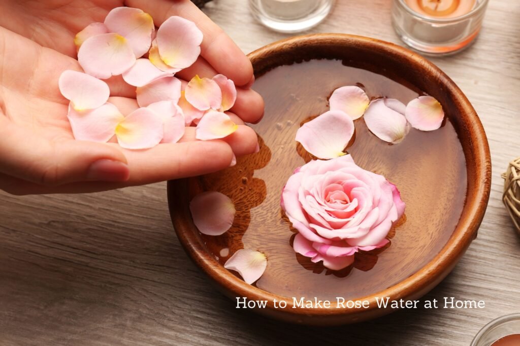 How to Make Rose Water at Home